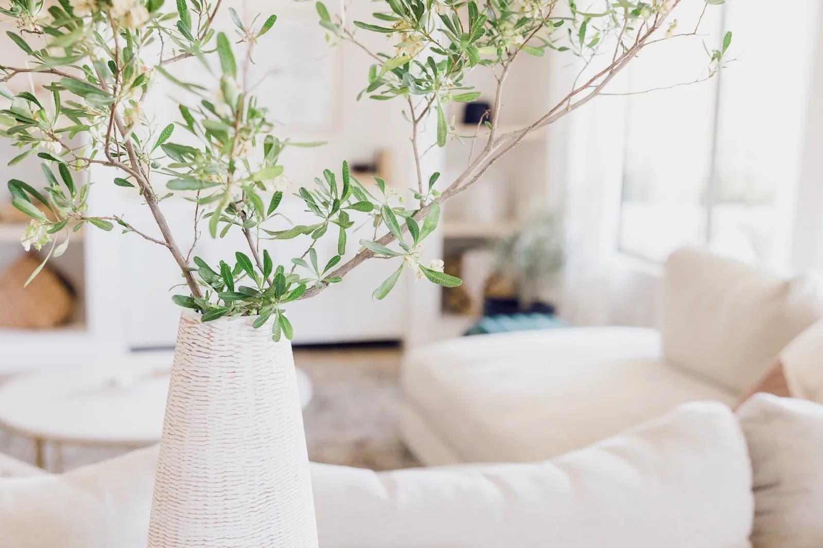 A bright, elegant residential living room with an olive branch arrangement in a textured vase